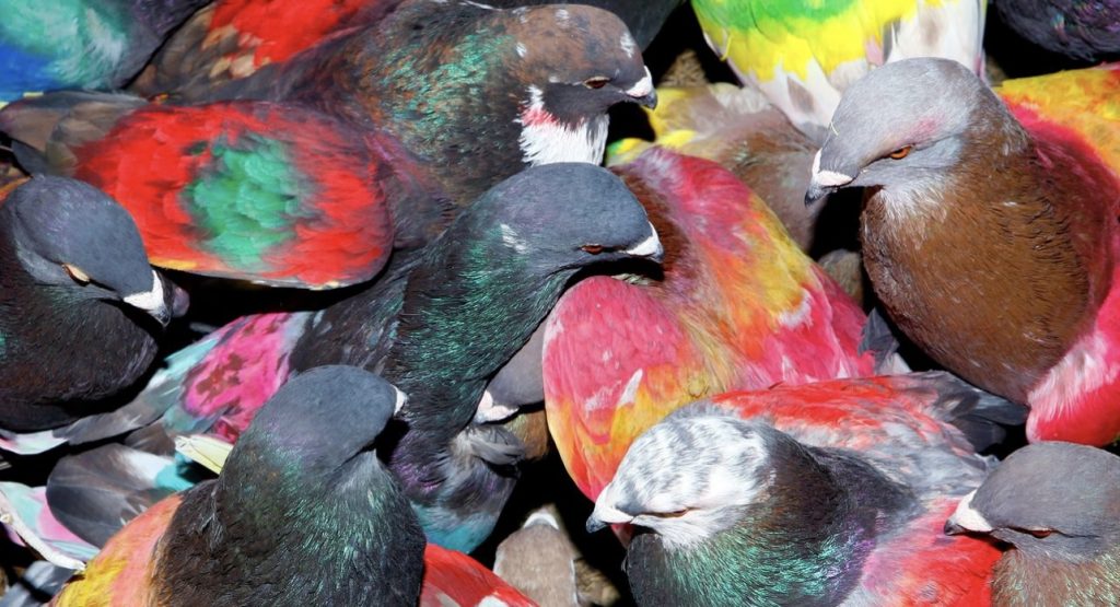 SickElixir – Blawan