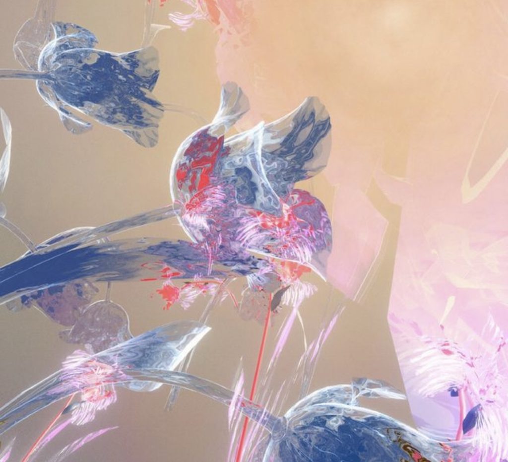 Don’t Trust Mirrors – Kelly Moran